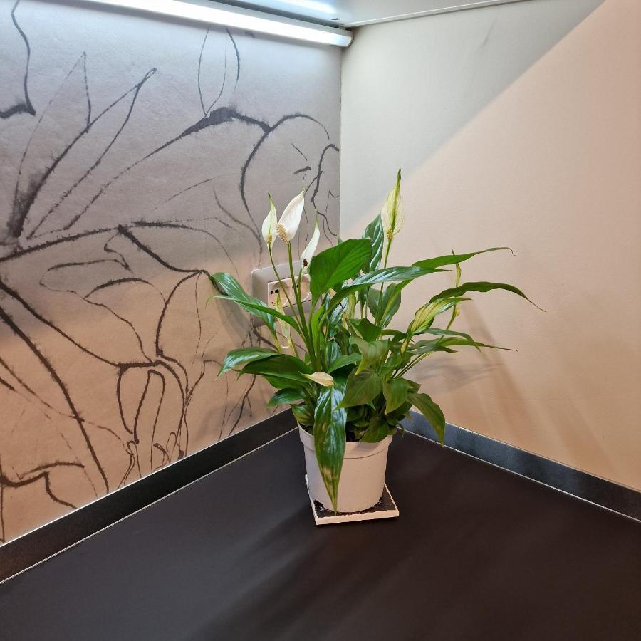 Corso Vittorio 364 Apartment Каляри Екстериор снимка